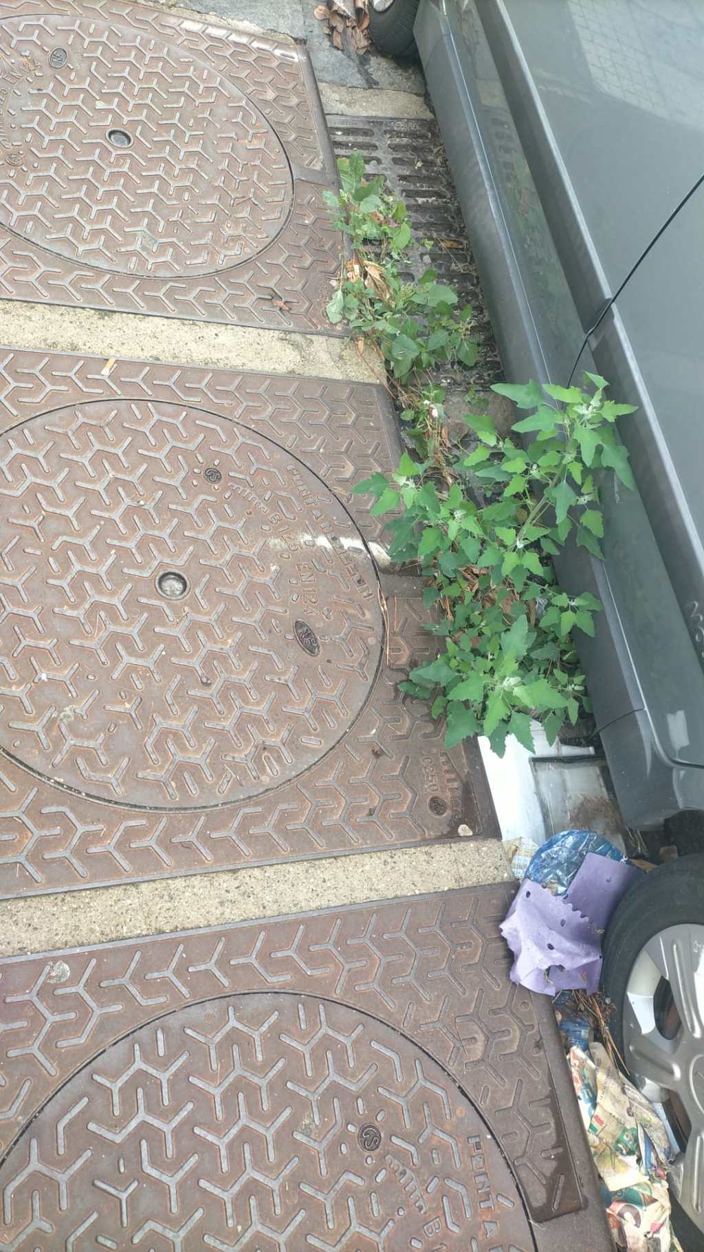 Tombini otturati in Via del Fante