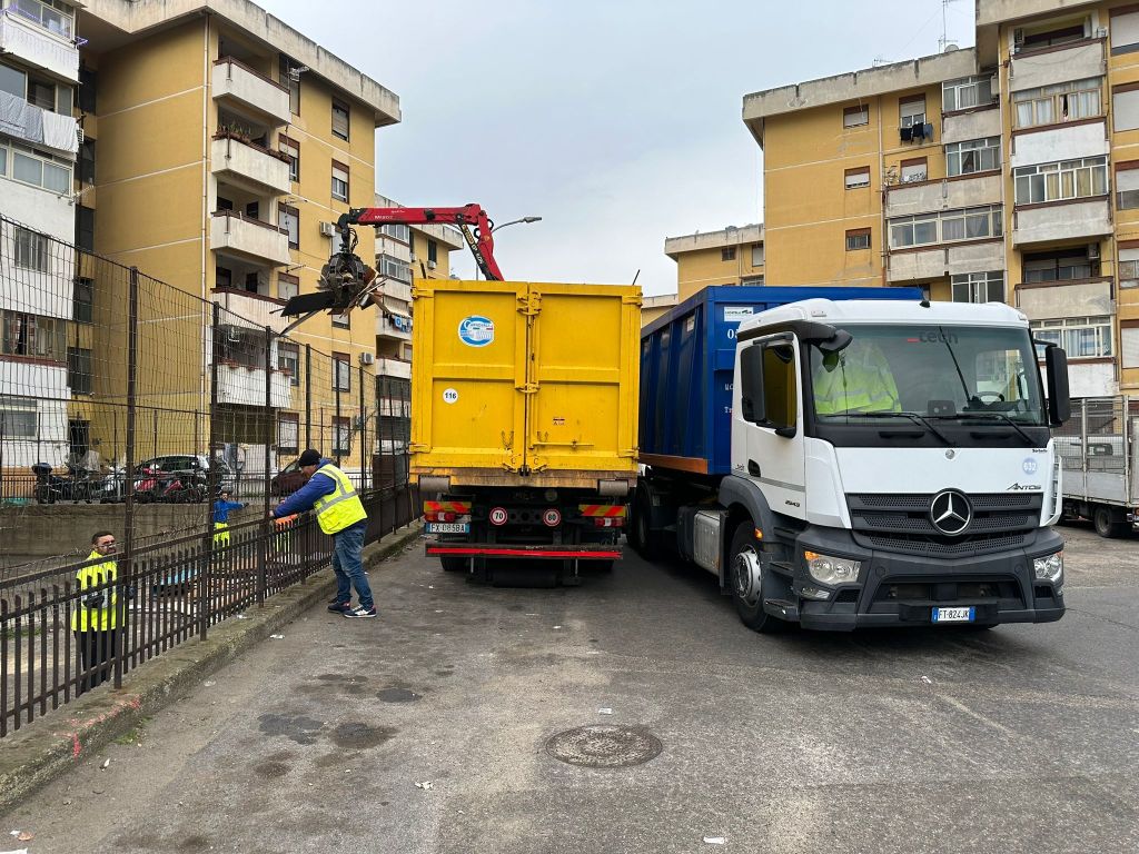 Cataste di legno a Giostra, 2023