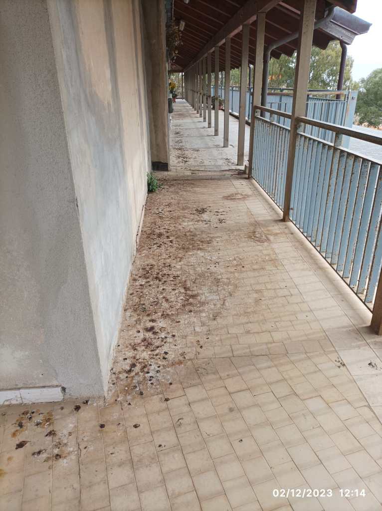 Sporcizia nell'area della Piramide al Gran Camposanto