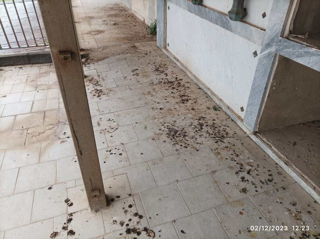 Sporcizia nell'area della Piramide al Gran Camposanto