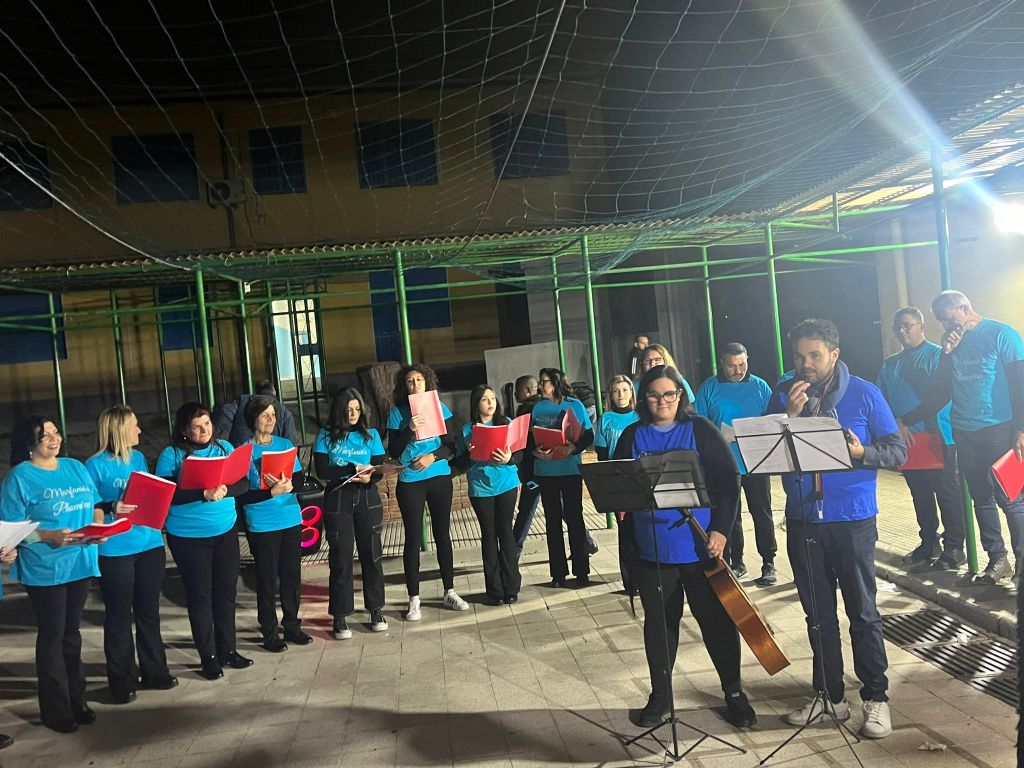 Marfania’s Phoenixes