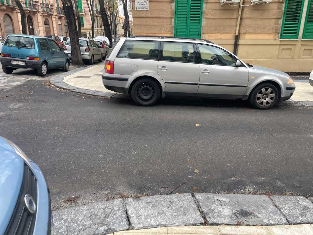 PARCHEGGI DISABILI