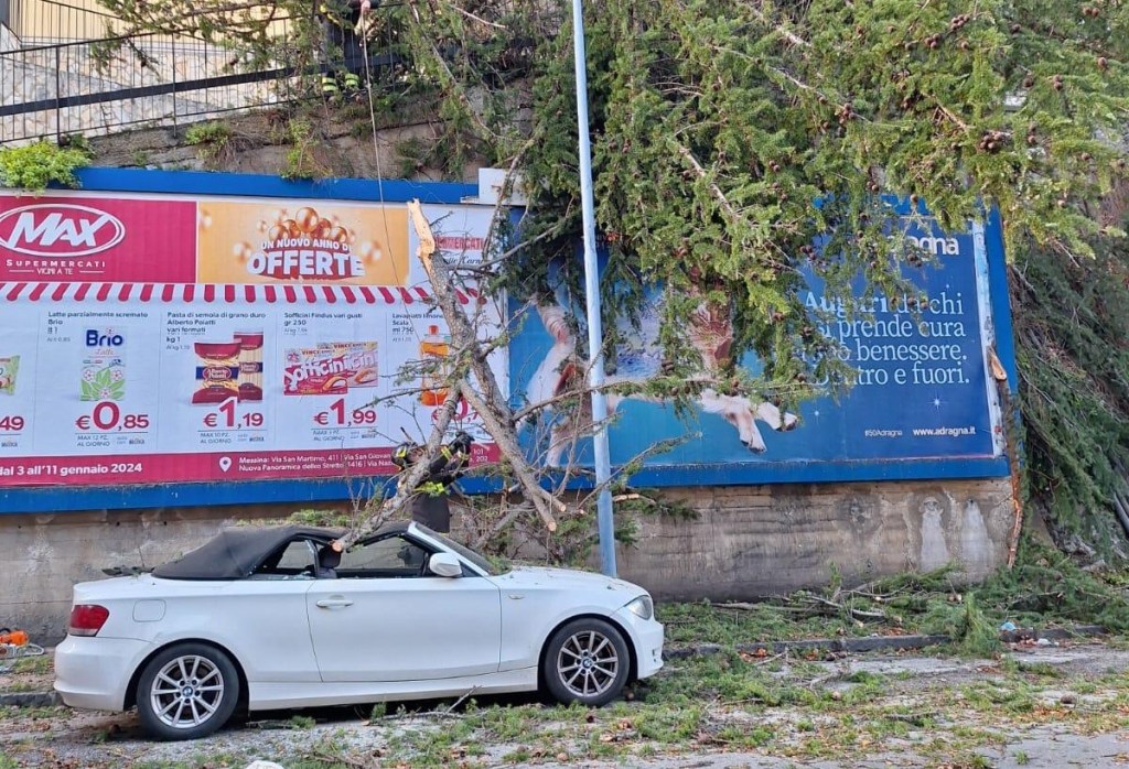 Alberi caduti a Messina, l'intervento dei vigli del fuoco