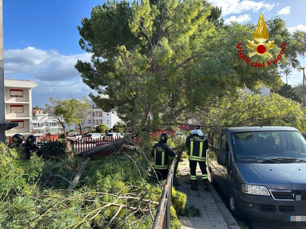 Alberi caduti a Messina, l'intervento dei vigli del fuoco