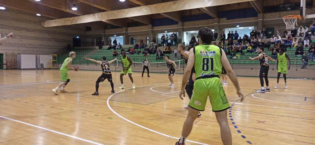 fortitudo contro piazza armerina in casa
