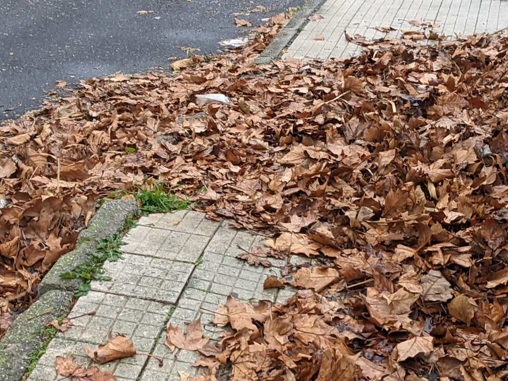 Foglie su marciapiede a S.Licandro