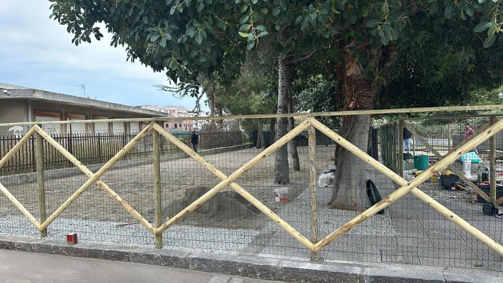 Milazzo area sgambamento cani