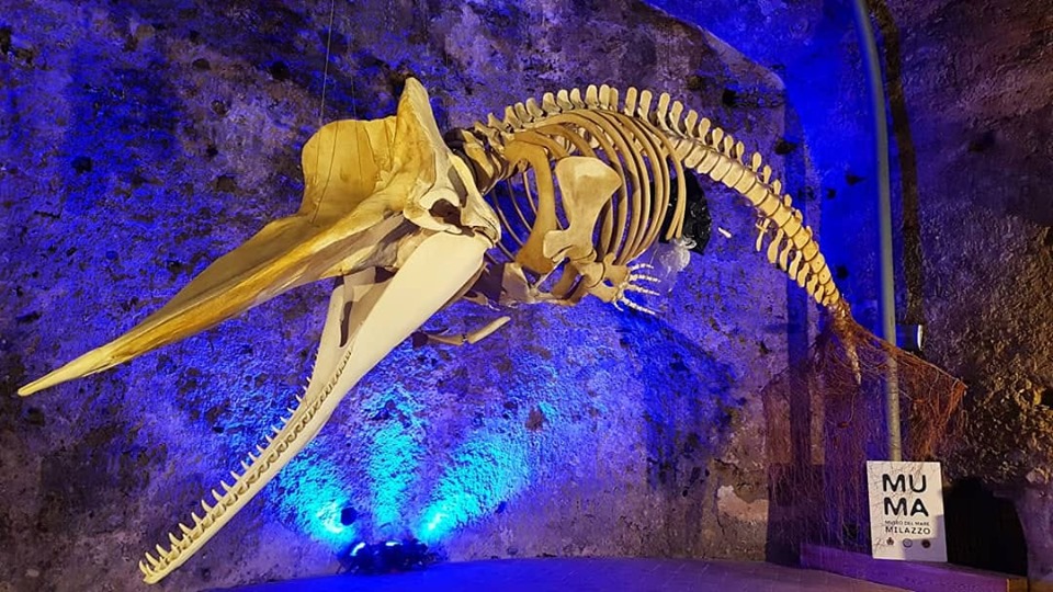 Siso museo del mare milazzo MUMA