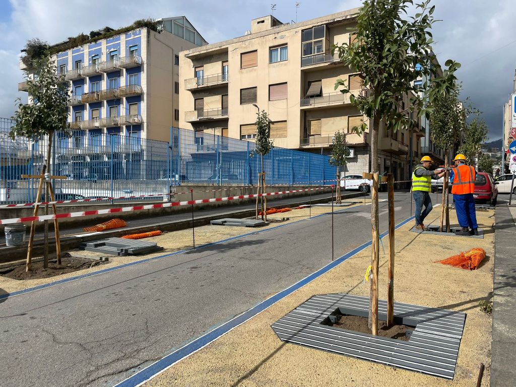 Alberi e griglie ForestaMe