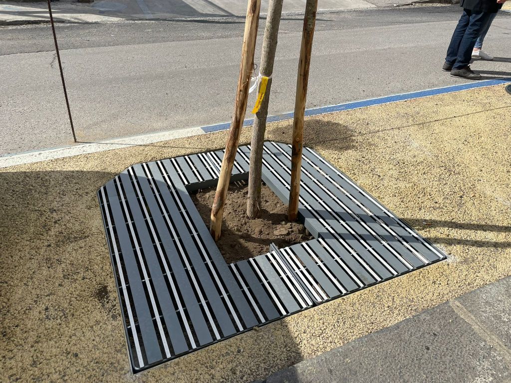 Alberi e griglie ForestaMe