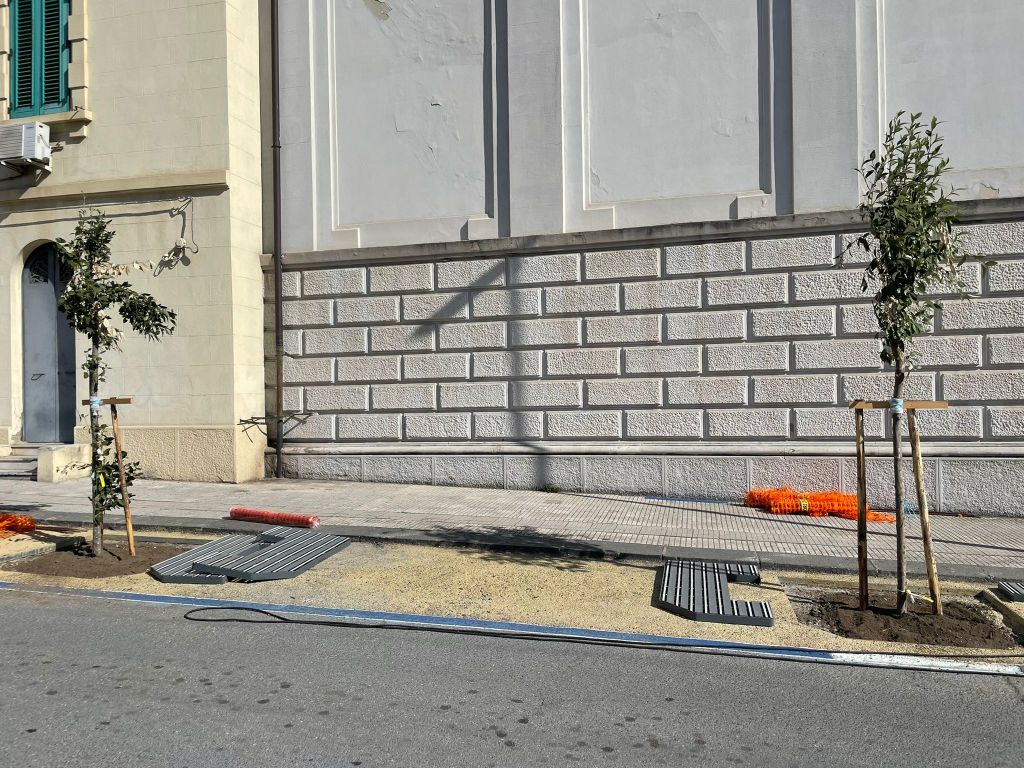 Alberi e griglie ForestaME