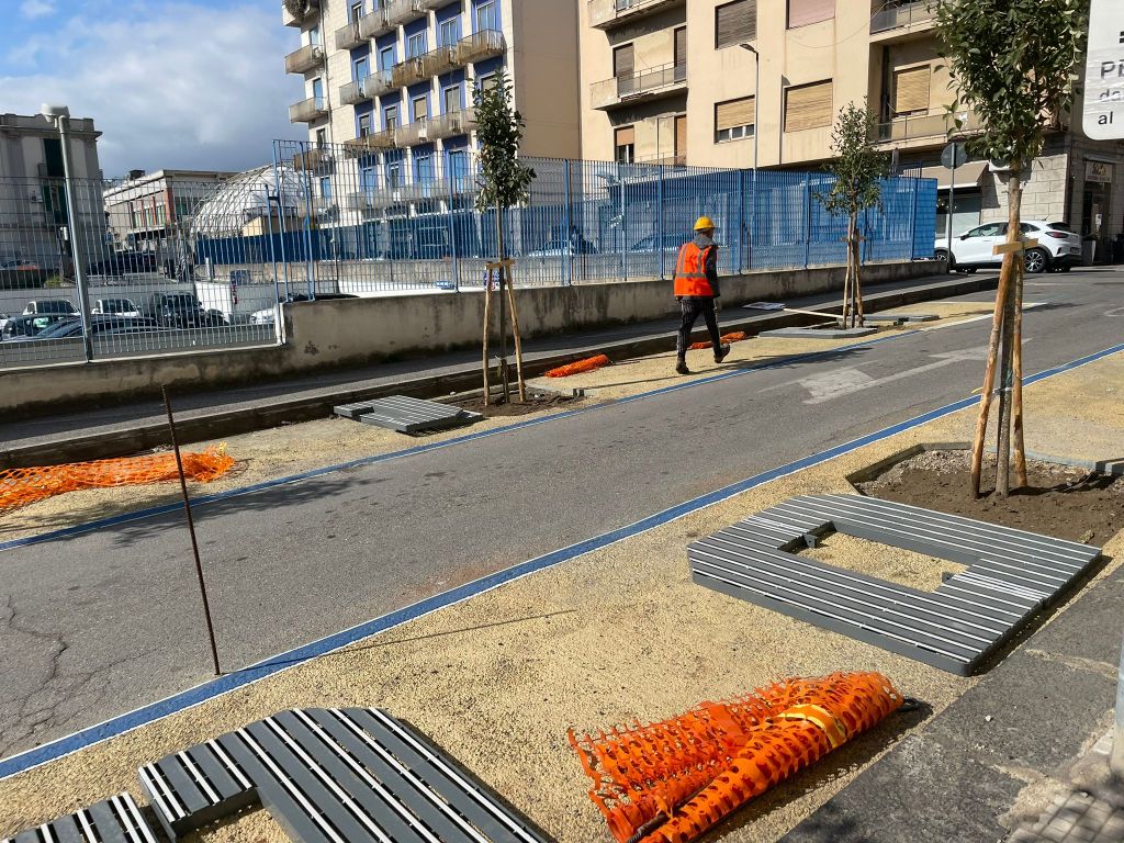 Alberi e griglie ForestaME