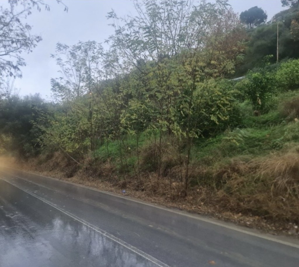 Barcellona Pozzo di Gotto ss113 dissesto idrogeologico