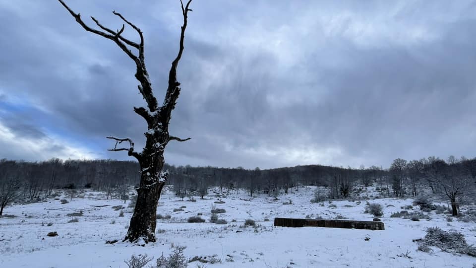 neve nebrodi marzo 2024 mangalaviti