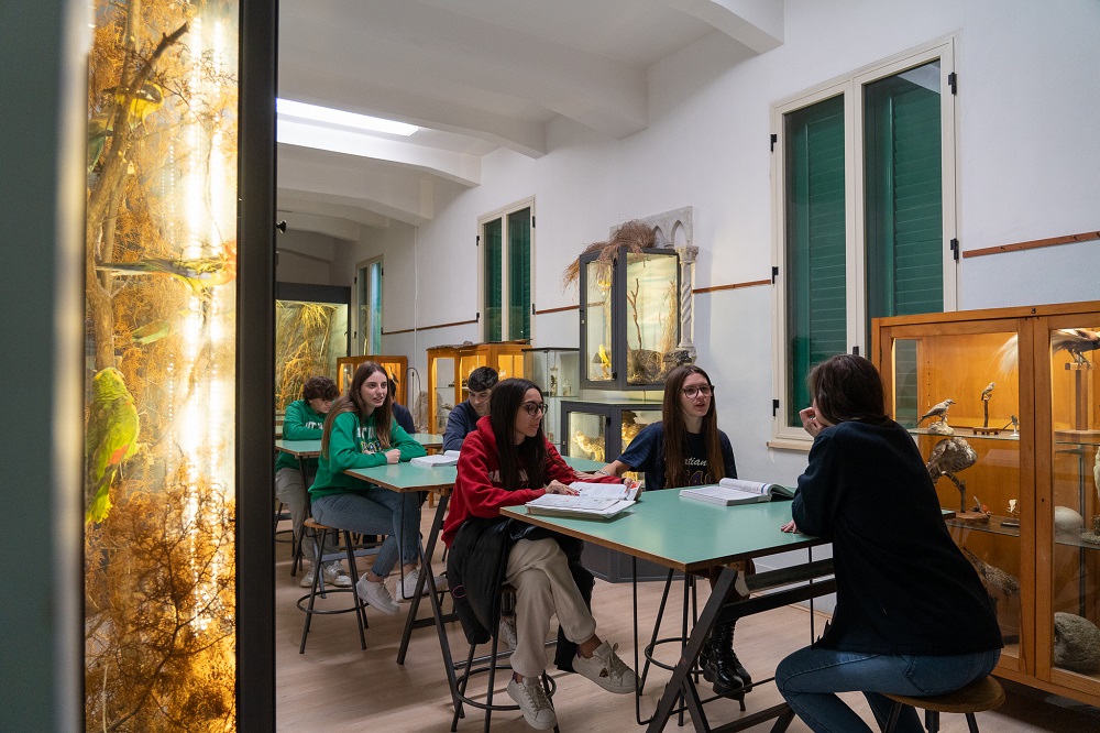 collegio sant'ignazio ignatianum