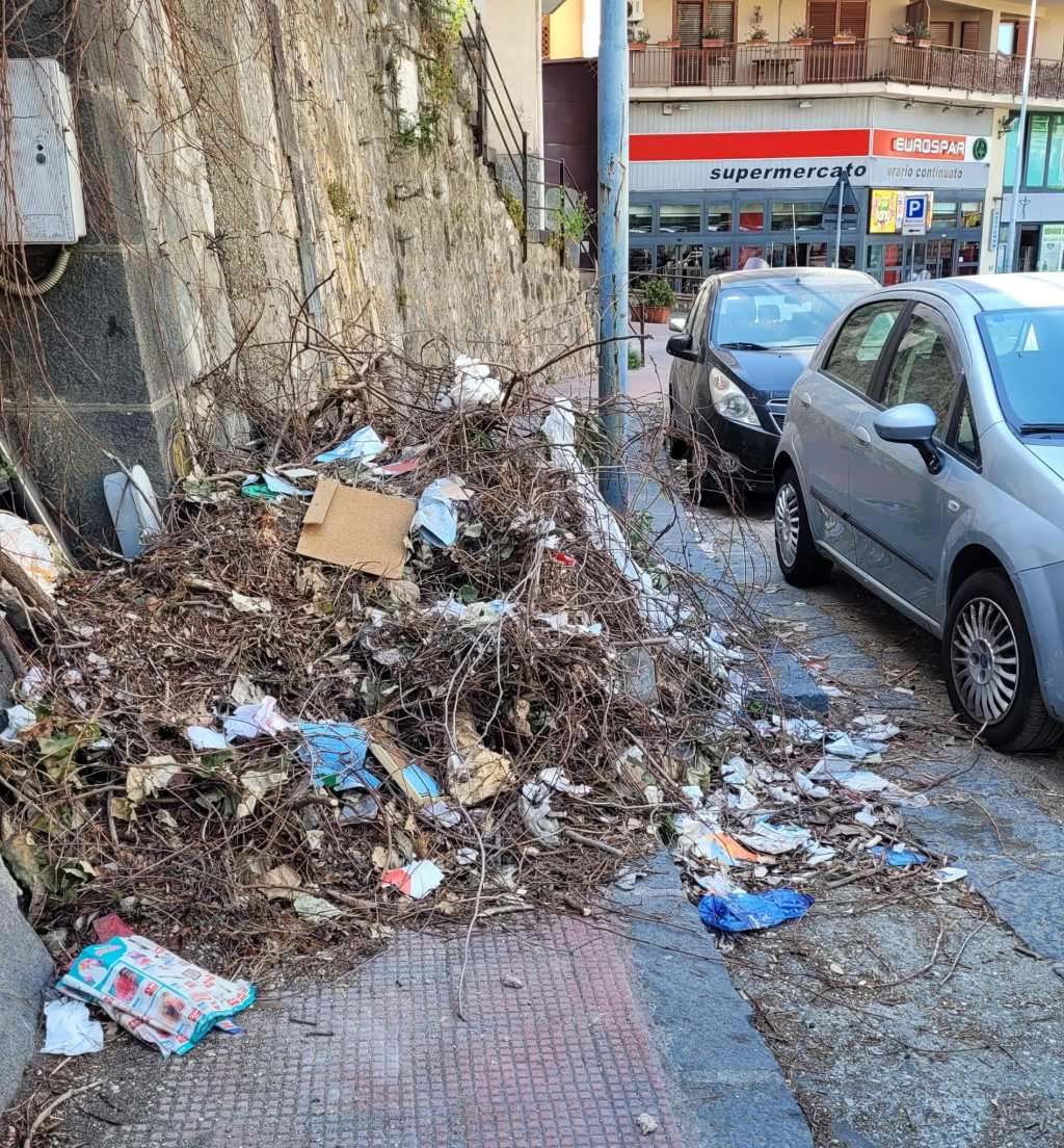 Messina. Sfalci e residui di potature sulla strada