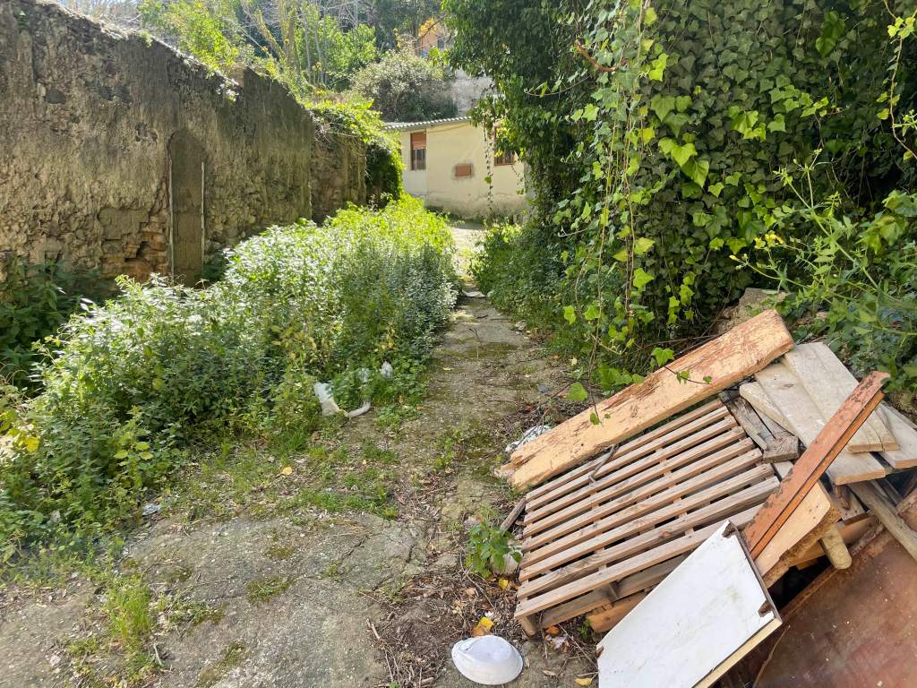 baraccopoli quod quaeris