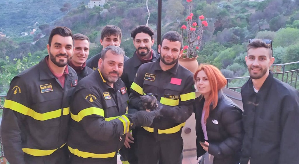 I Vigili del fuoco che hanno salvato il gattino
