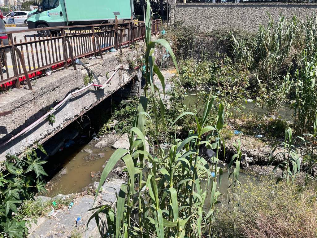 spiaggia torrente giostra