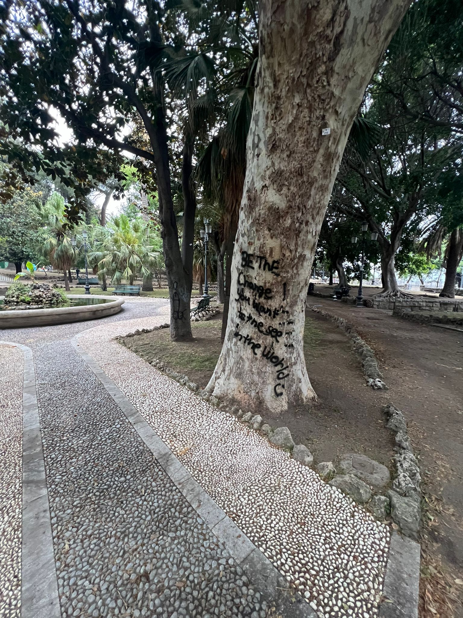 reggio-alberi-villa-comunale-imbrattati-merenda-fatto-che-offende-la