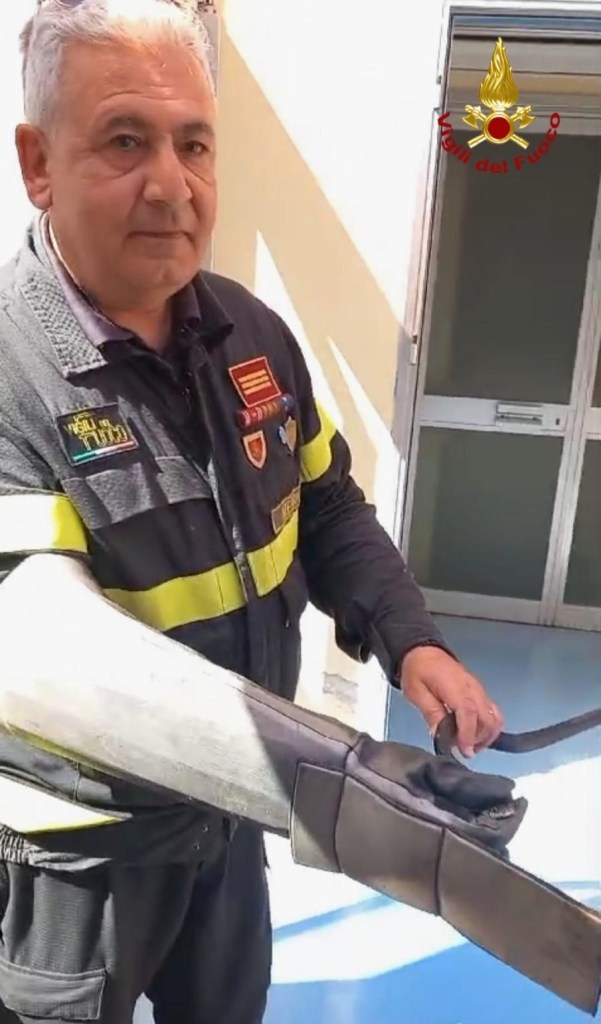 Serpente catturato dai vigili del fuoco