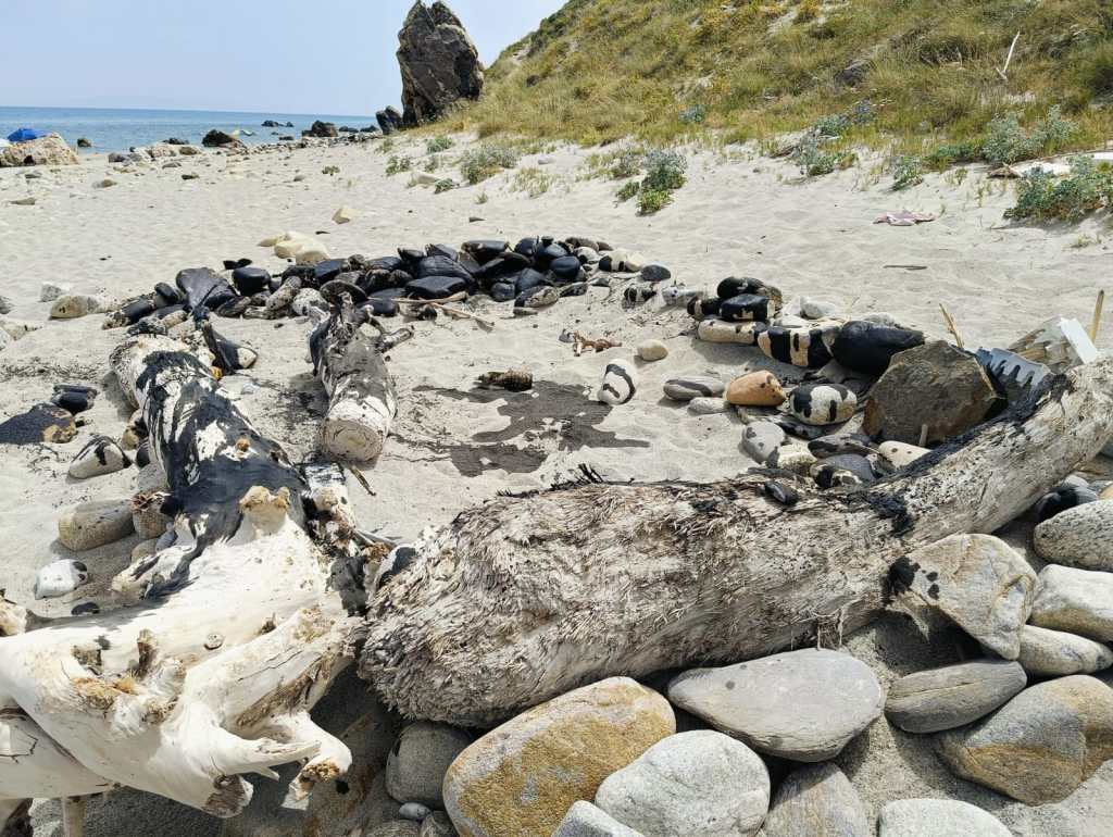 Liquido nero sulla spiaggia di Capo Rasocolmo