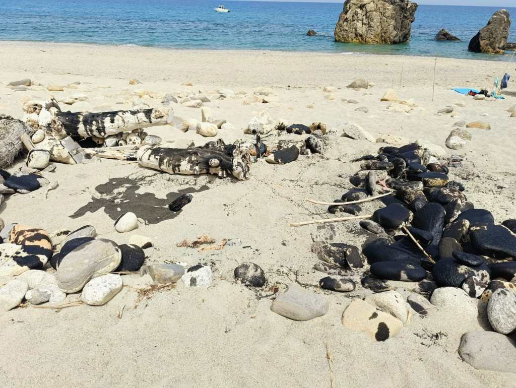 Liquido nero sulla spiaggia di Capo Rasocolmo