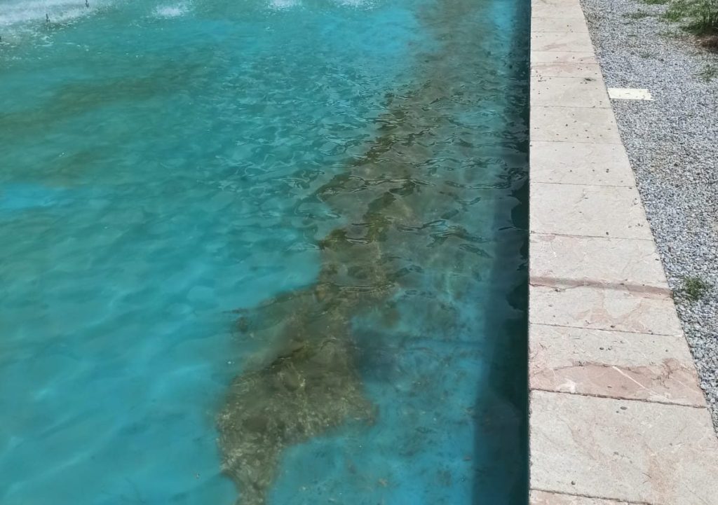 Pietrisco nella fontana di Villa Dante
