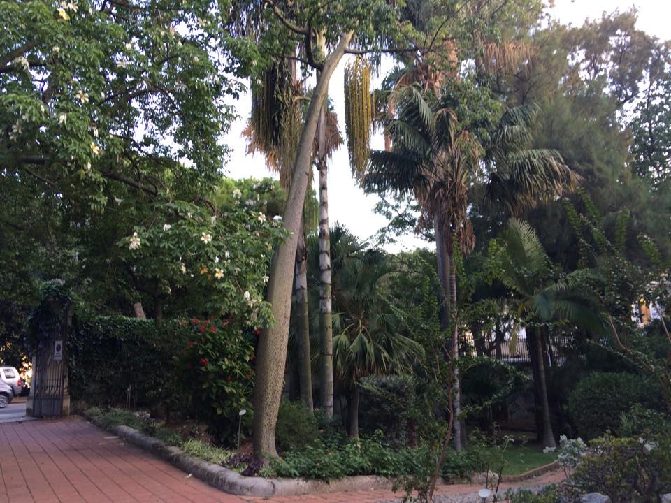 orto botanico
