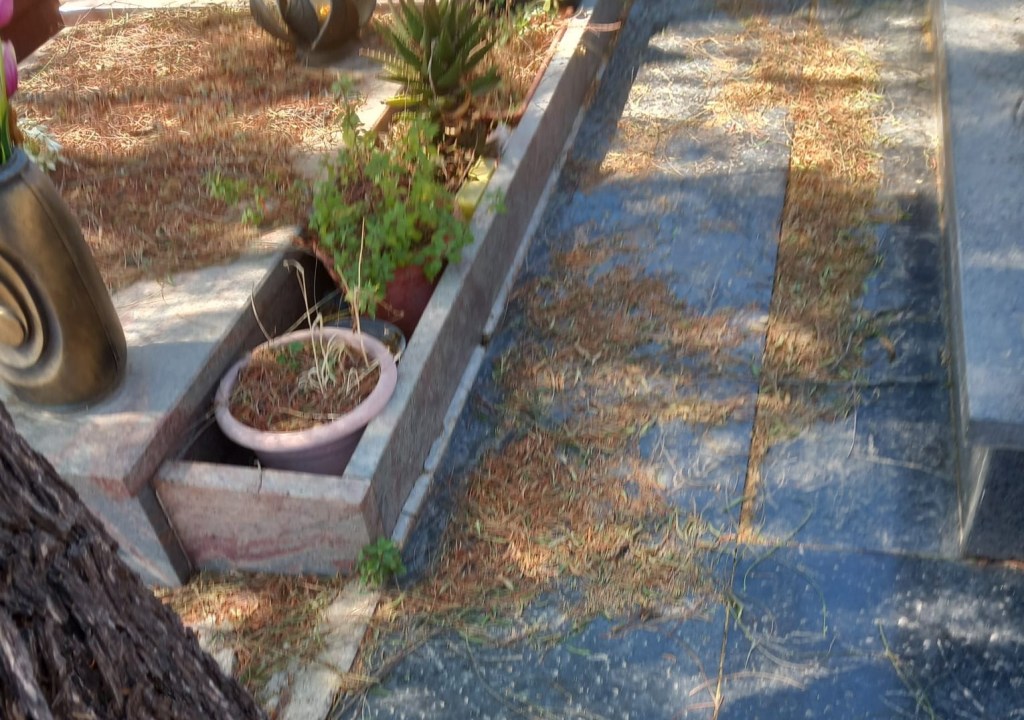 Cimitero di Messina tra fogliame e terriccio
