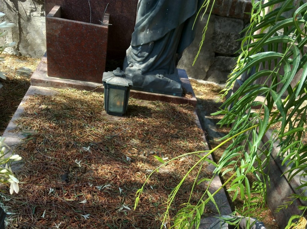 Cimitero di Messina tra fogliame e terriccio