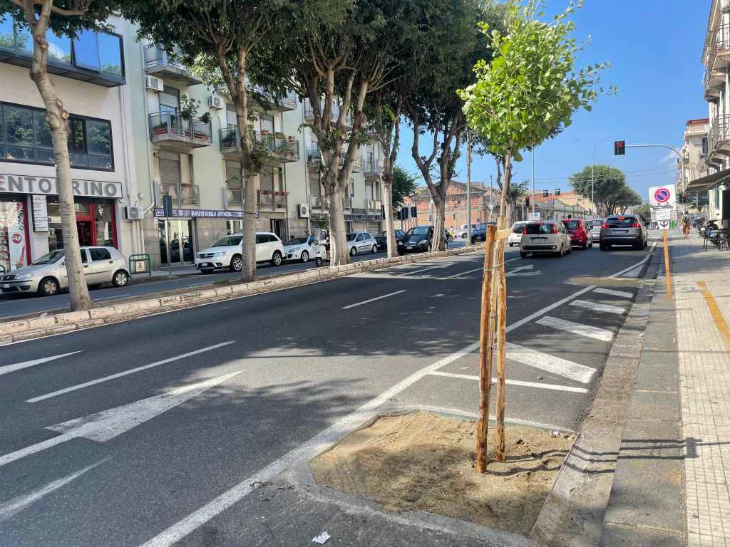 alberi via la farina 