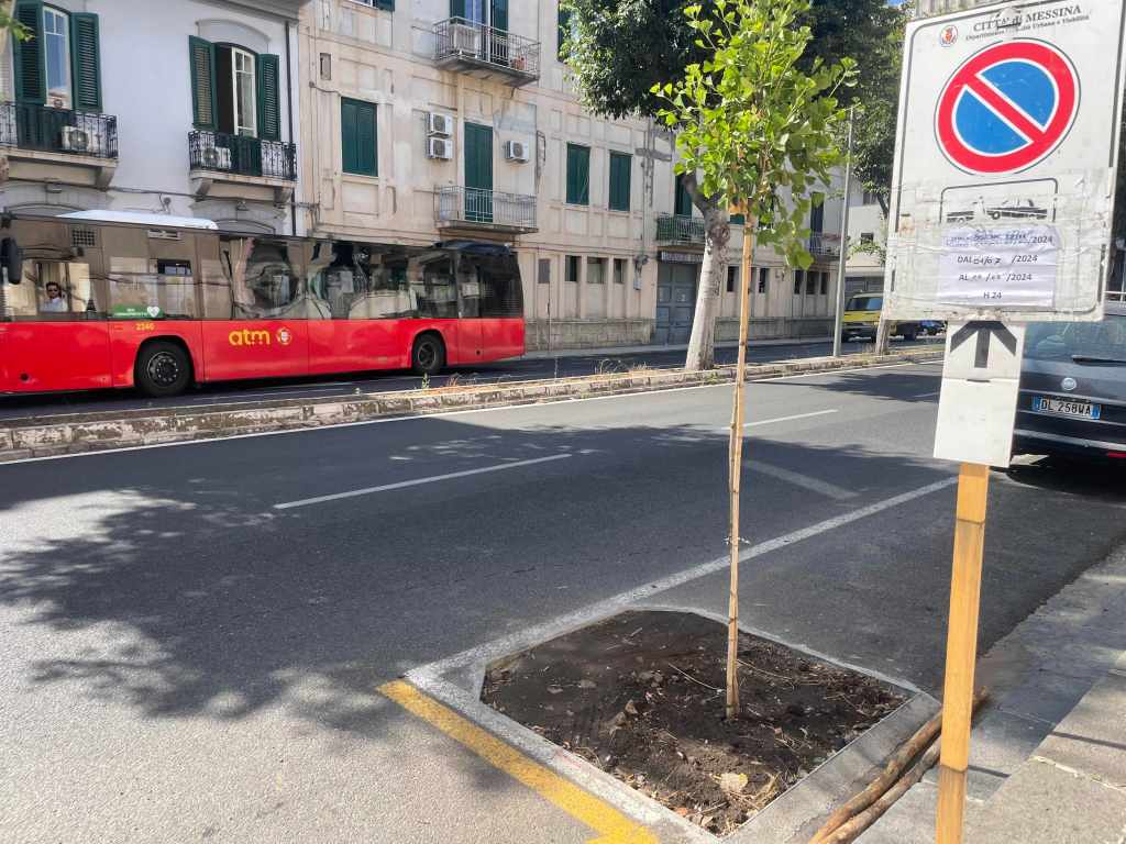 alberi via la farina 