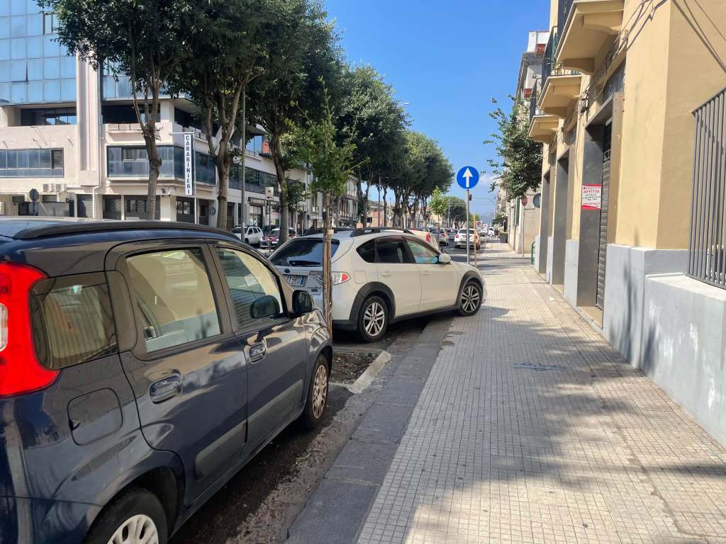 alberi via la farina 