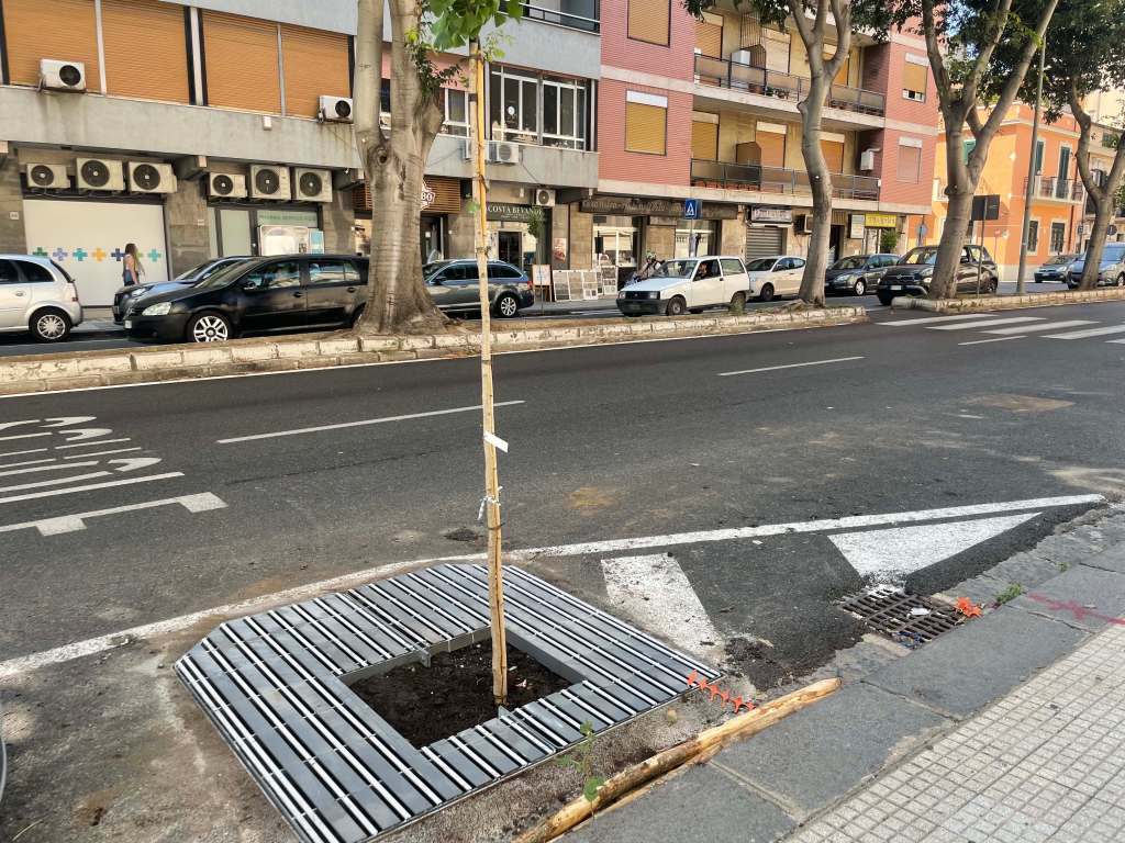 alberi via la farina 