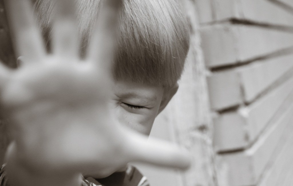 Foto di Free Photos at divvypixel.com da Pixabay