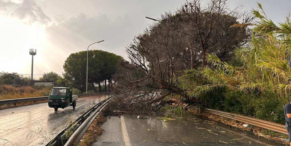 crollo albero rampa A18 Giardini naxos