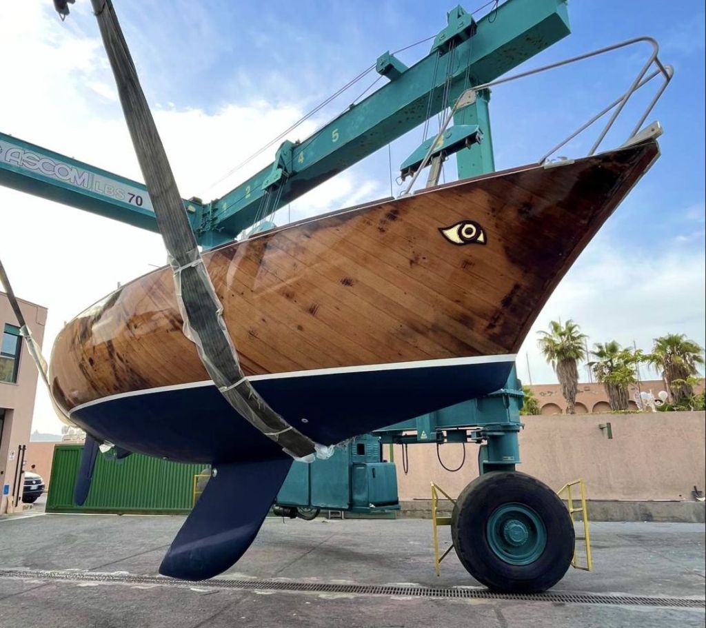 Cassiopea muma museo del mare milazzo