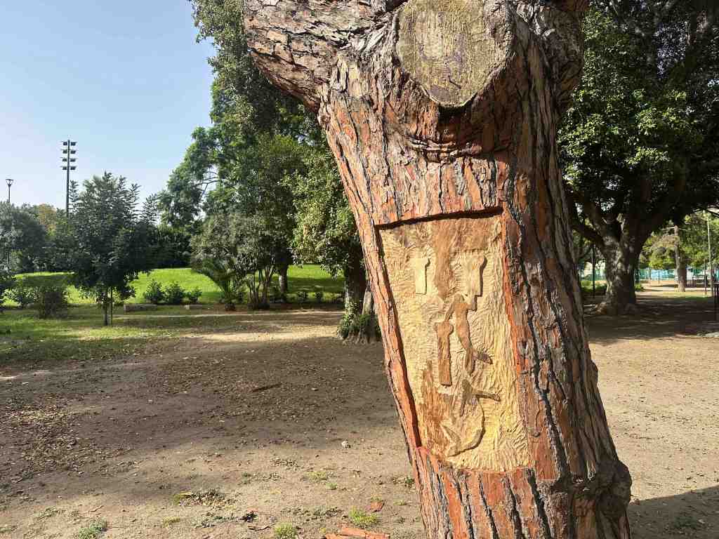 albero villa dante colapesce