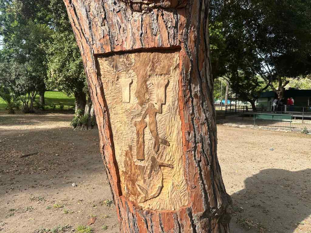 albero villa dante colapesce