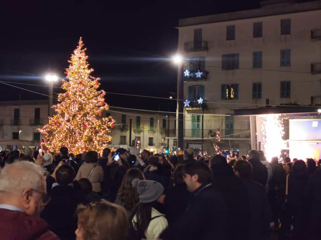 Albero illuminato a Piazza Cairoli