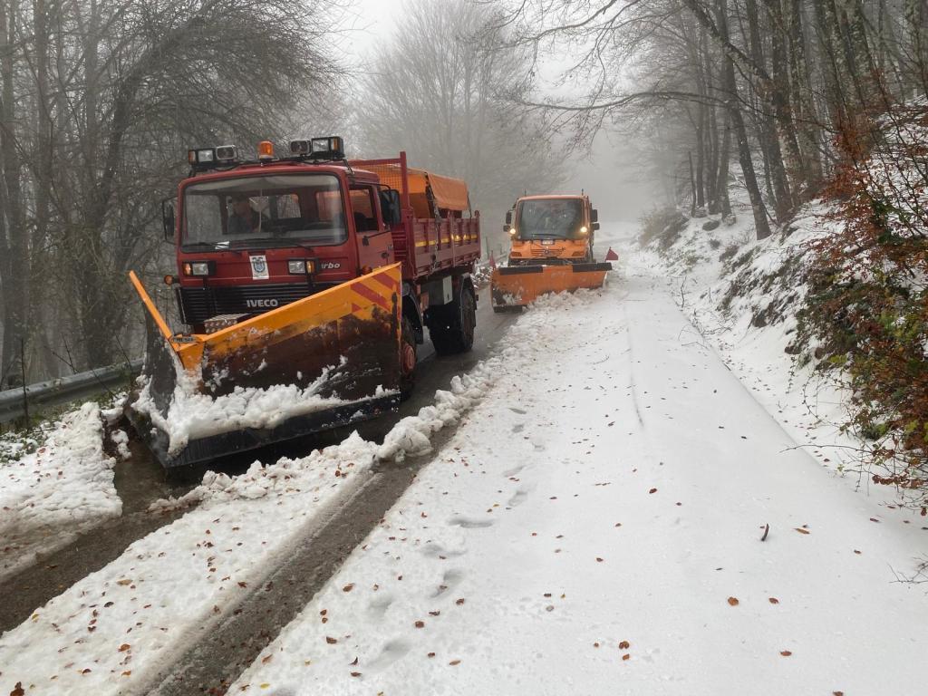 Emergenza neve SS.PP. 166 e 168 (1)