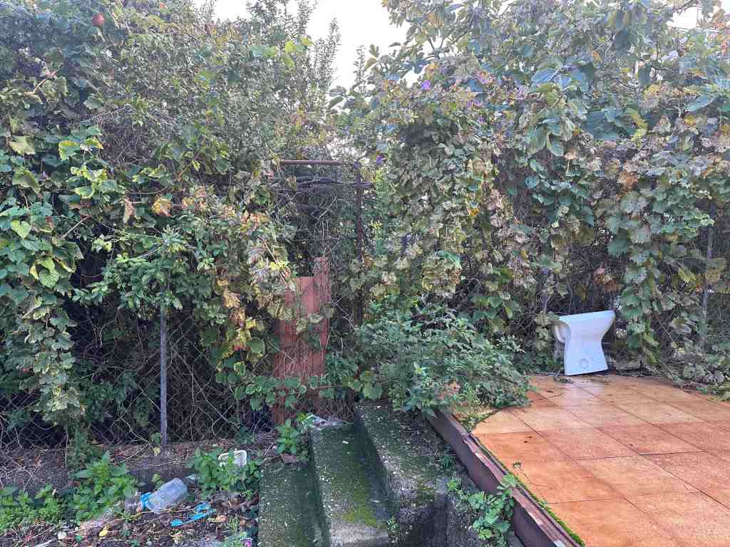 parcheggio asp annunziata