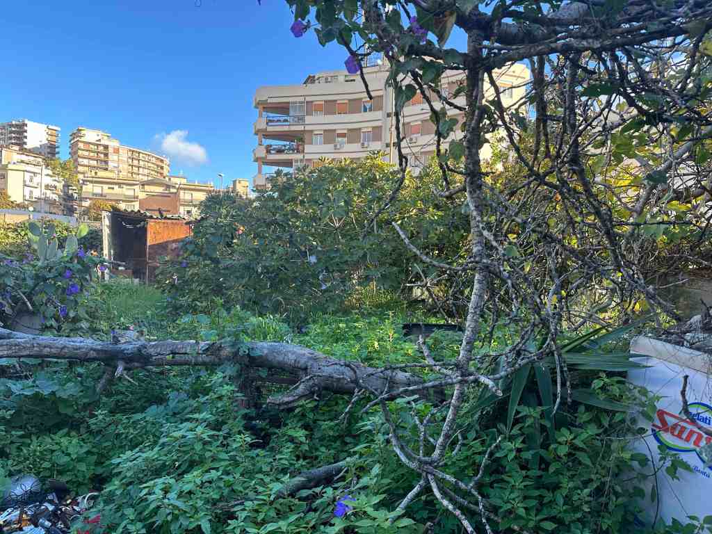 parcheggio asp annunziata