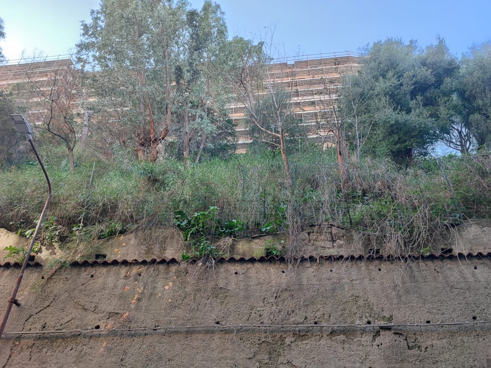 Impalcatura Park Palace