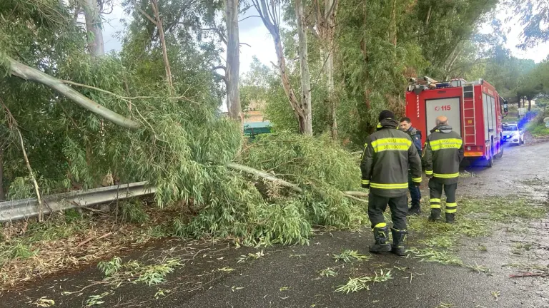 Maltempo a Milazzo, alberi in strada