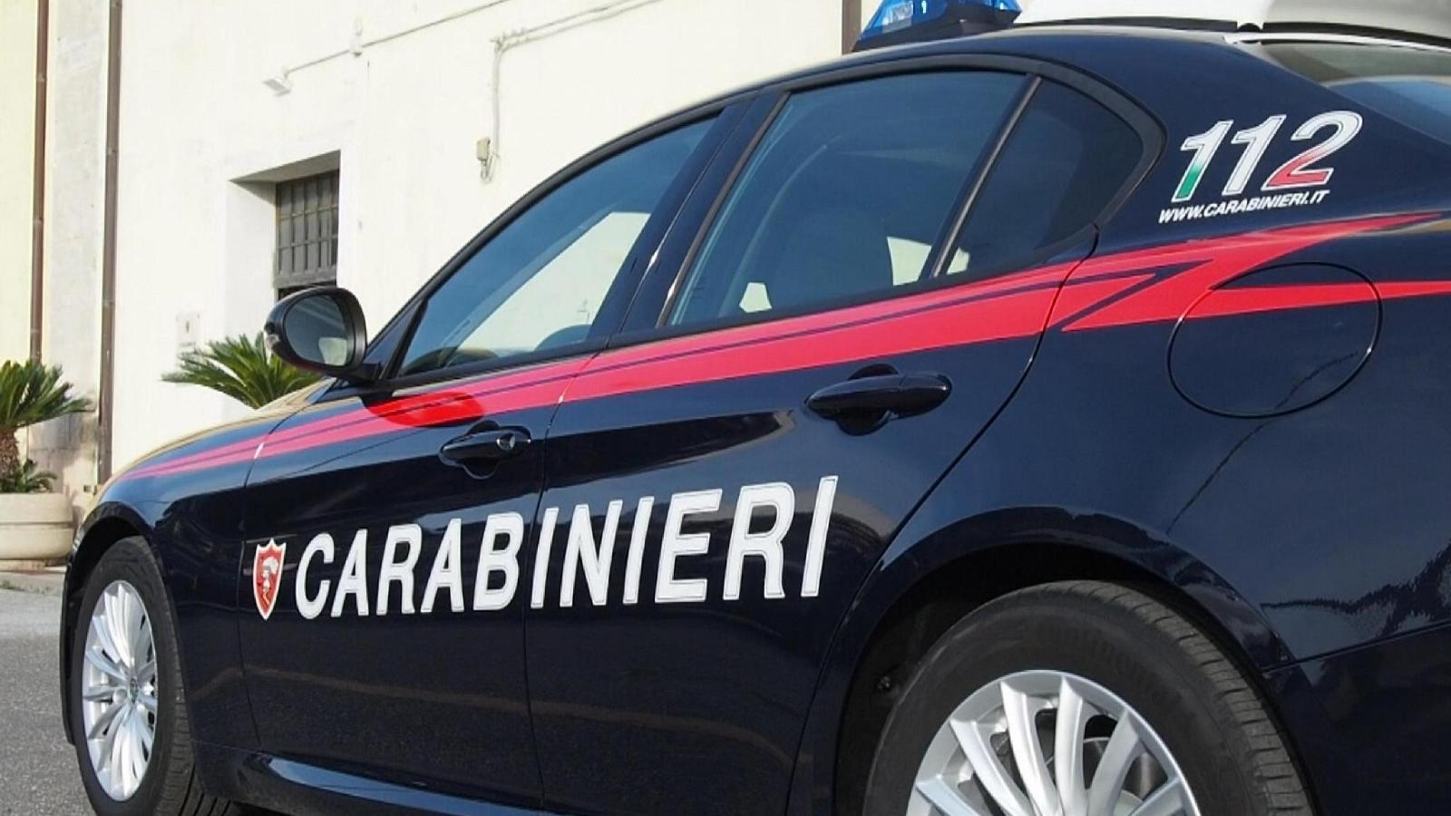 Gioia Tauro. Cane denutrito e maltrattato salvato dai carabinieri ...