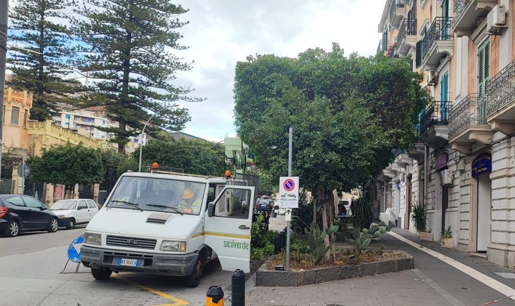 Potatura alberi a Messina