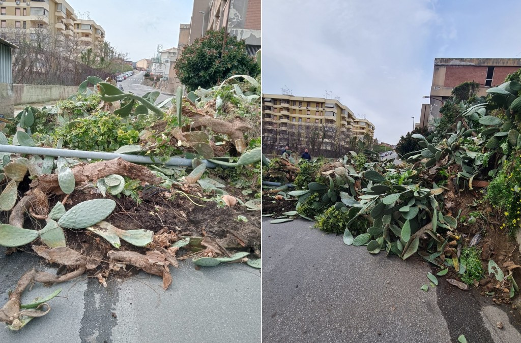 Questa immagine ha l'attributo alt vuoto; il nome del file è crollo-via-polveriera-bisconte-3.jpg