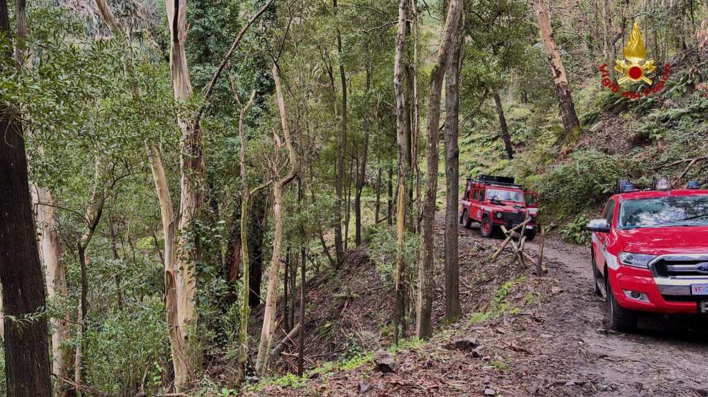 vigili del fuoco musolino